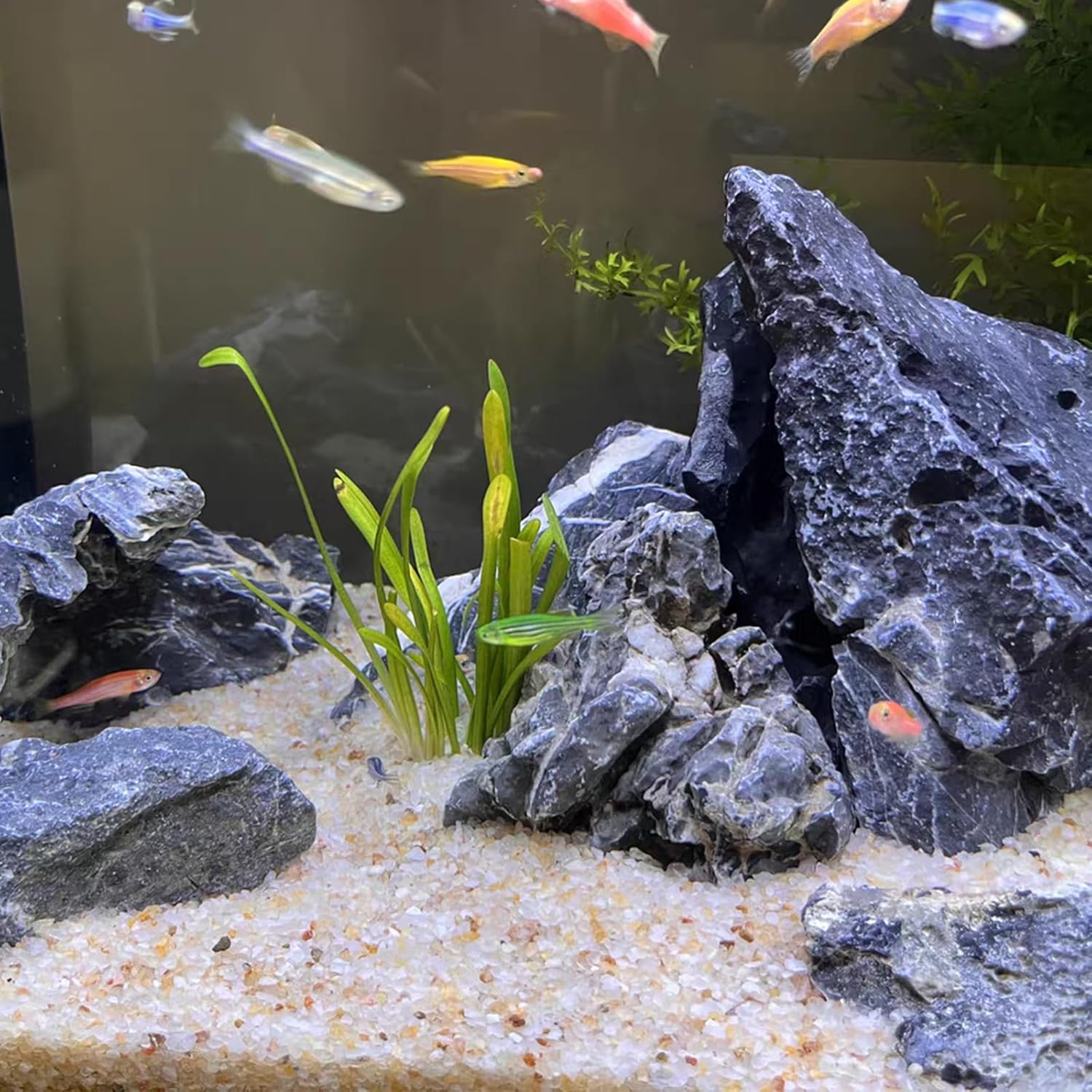 5lb Aquarium Silica Sand 0.4-0 - Planted Aquarium With Sand のレビューと価格