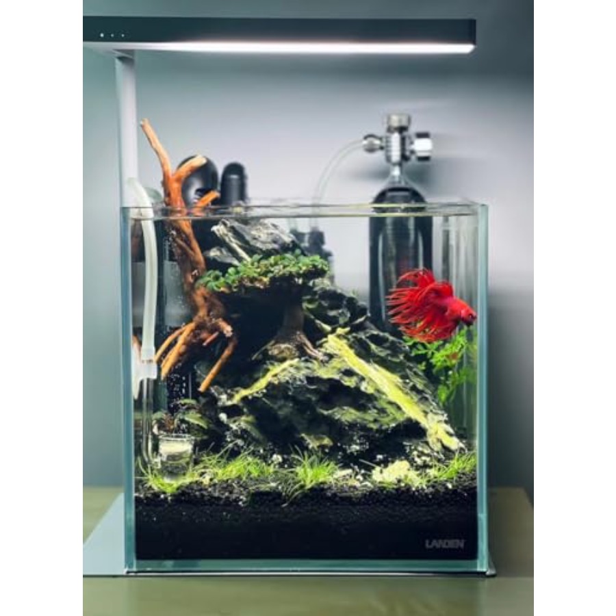 Aquarium Substrate Bundle Aqua - Planted Aquarium With Sand のレビューと価格