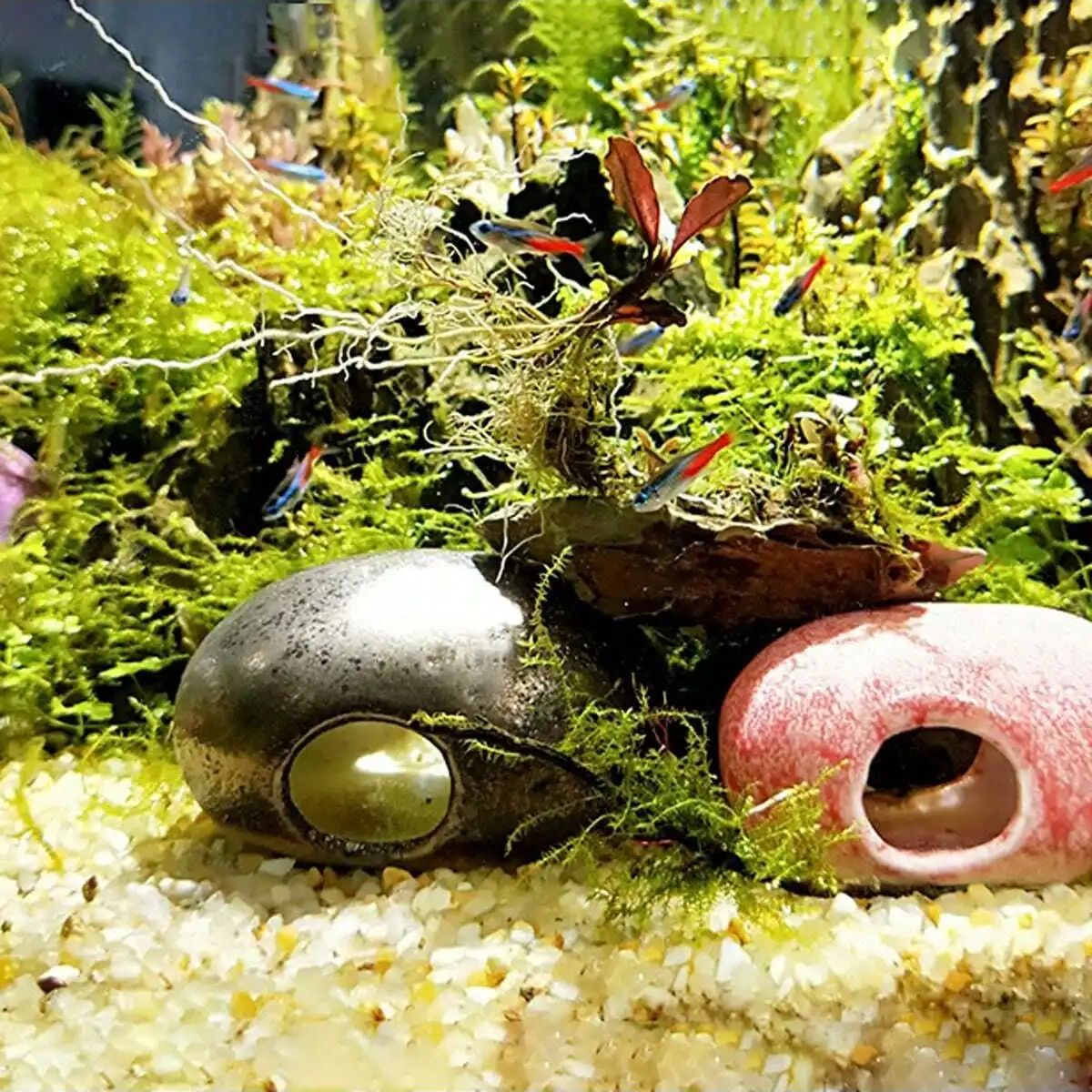 1pc-250g Natural Crystals Grav - Planted Aquarium With Sand のレビューと価格