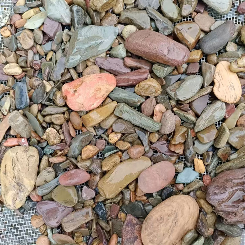 500g Fish Tank Bottom Sand Sto - Planted Aquarium With Sand のレビューと価格