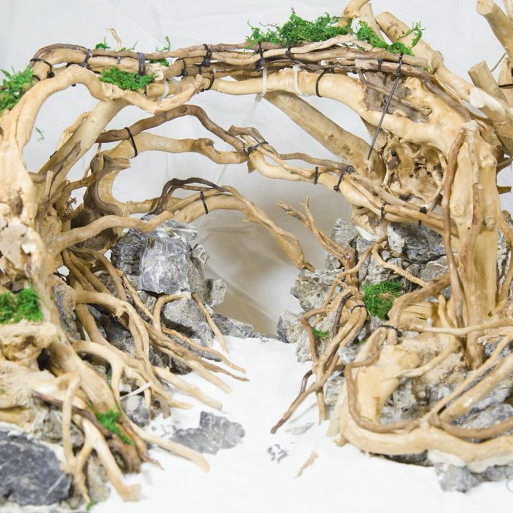 N1N Wood Reptile Tank Backgrou - Planted Aquarium With Driftwood のレビューと価格