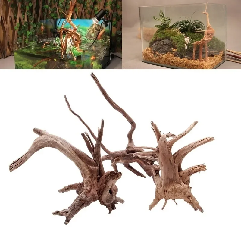 Natural Tree Trunk Driftwood A - Planted Aquarium With Driftwood のレビューと価格