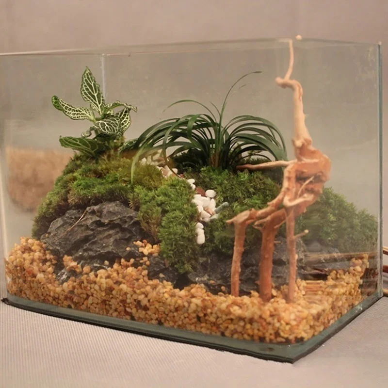 Natural Tree Trunk Driftwood A - Planted Aquarium With Driftwood のレビューと価格
