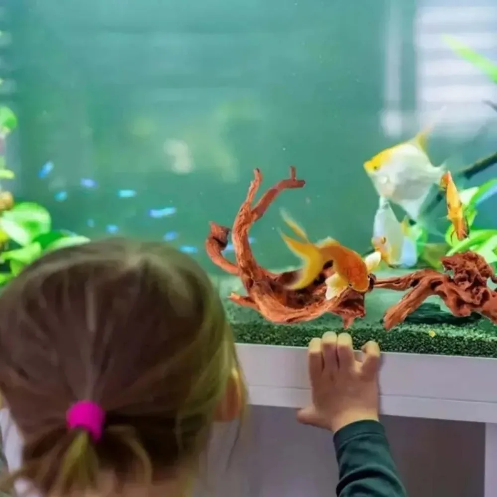 New Natural Small Tree Trunk D - Planted Aquarium With Driftwood のレビューと価格