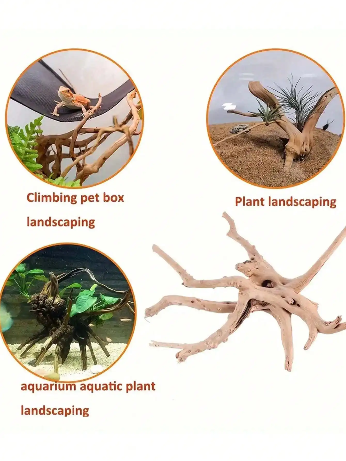 New Natural Small Tree Trunk D - Planted Aquarium With Driftwood のレビューと価格