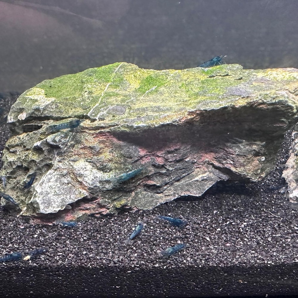 Black Aquarium Sand 2lbs, Fine - Planted Aquarium With Sand のレビューと価格