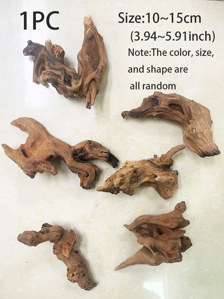 1PC Natural Aquarium Sinkable  - Planted Aquarium With Driftwood のレビューと価格