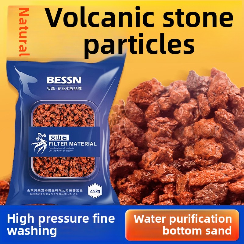 BESSN Volcanic Rock Aquarium S - Planted Aquarium With Sand のレビューと価格