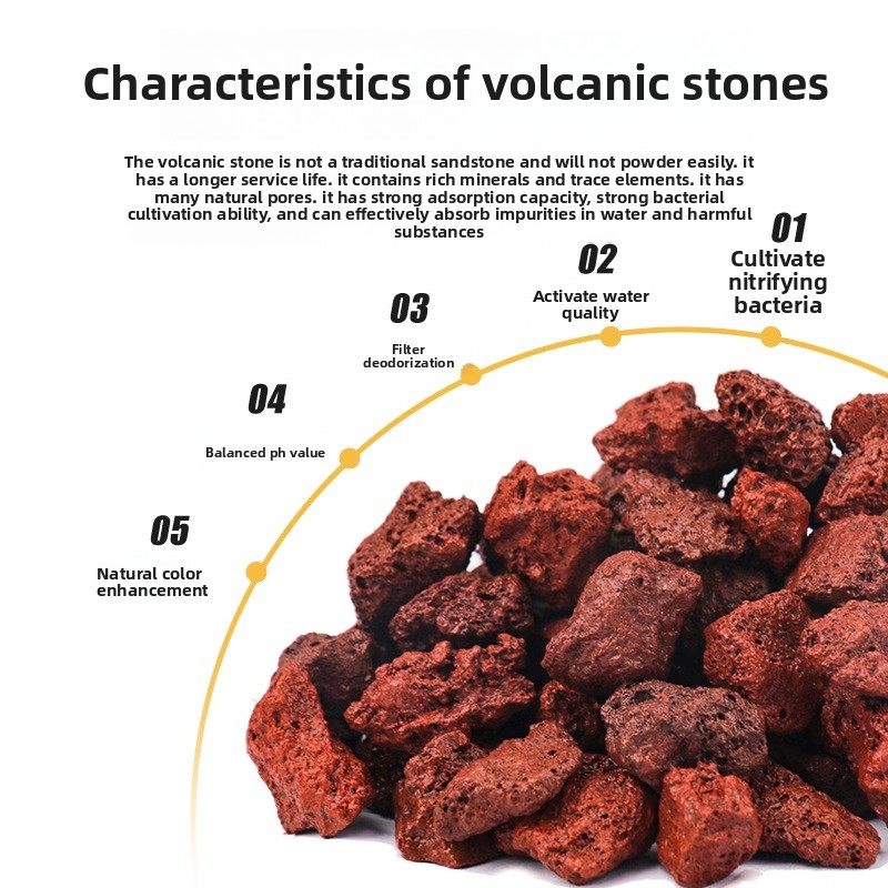 BESSN Volcanic Rock Aquarium S - Planted Aquarium With Sand のレビューと価格