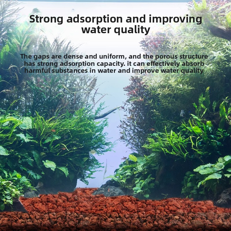 BESSN Volcanic Rock Aquarium S - Planted Aquarium With Sand のレビューと価格