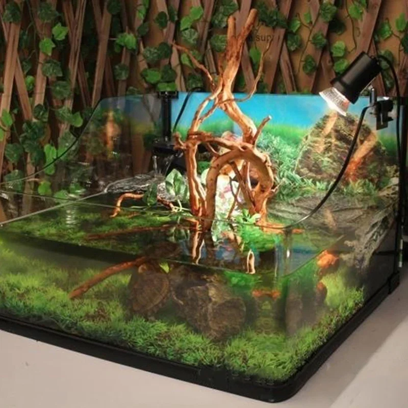 Natural Tree Trunk Driftwood A - Planted Aquarium With Driftwood のレビューと価格