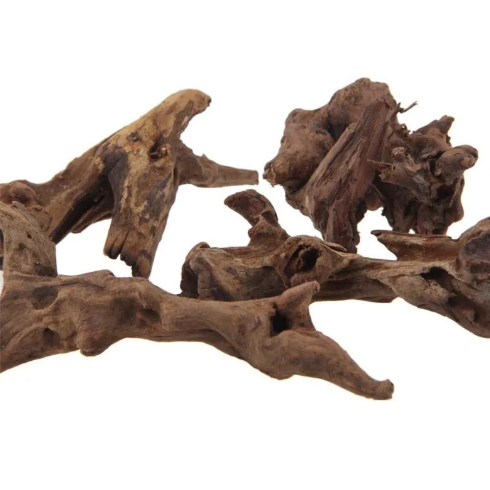 1PC Natural Sinkable Driftwood - Planted Aquarium With Driftwood のレビューと価格