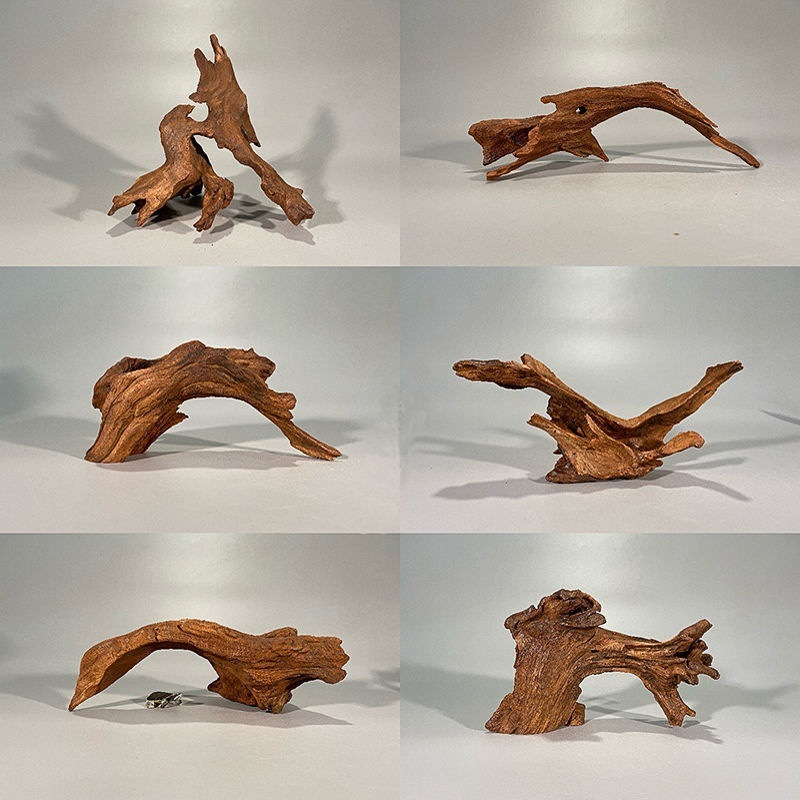 Natural Driftwood Aquarium Mos - Planted Aquarium With Driftwood のレビューと価格