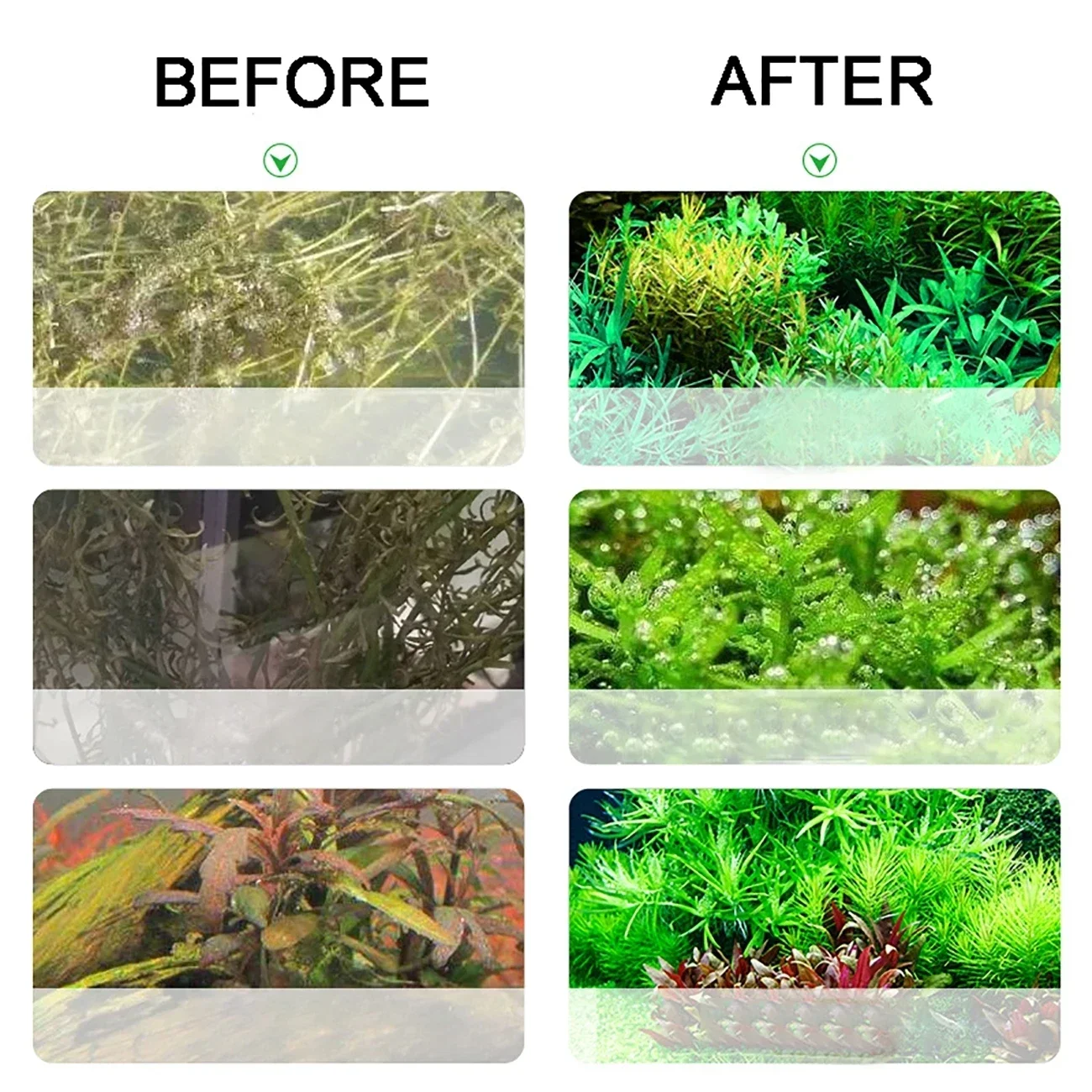 Aquarium CO2 Generator 2L DIY  - Planted Aquarium Co2 Kit のレビューと価格