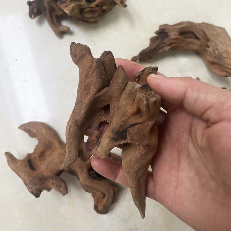 1PC Natural Aquarium Sinkable  - Planted Aquarium With Driftwood のレビューと価格