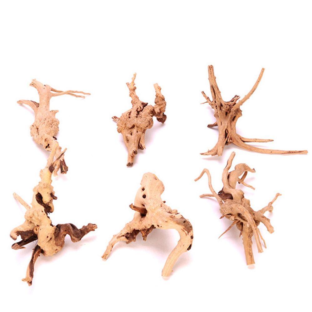 1 Pcs Wood Reptile Fish Tank O - Planted Aquarium With Driftwood のレビューと価格