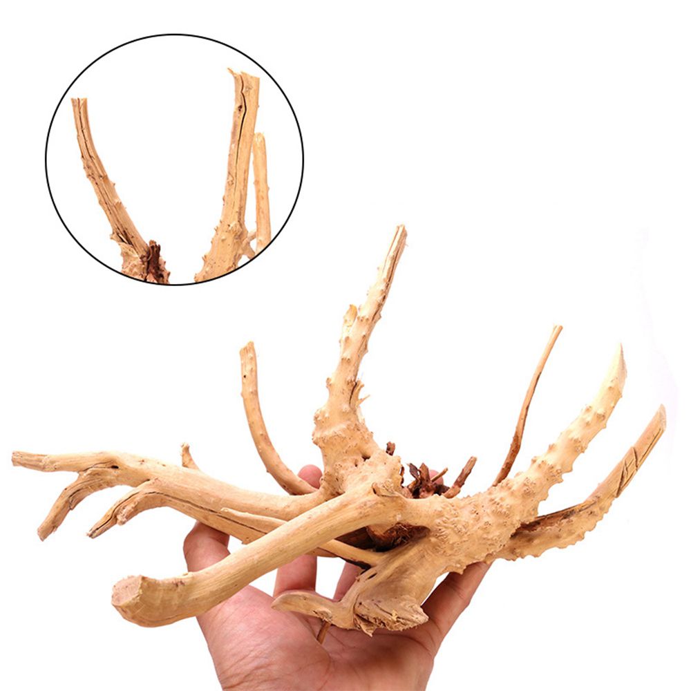 1 Pcs Wood Reptile Fish Tank O - Planted Aquarium With Driftwood のレビューと価格