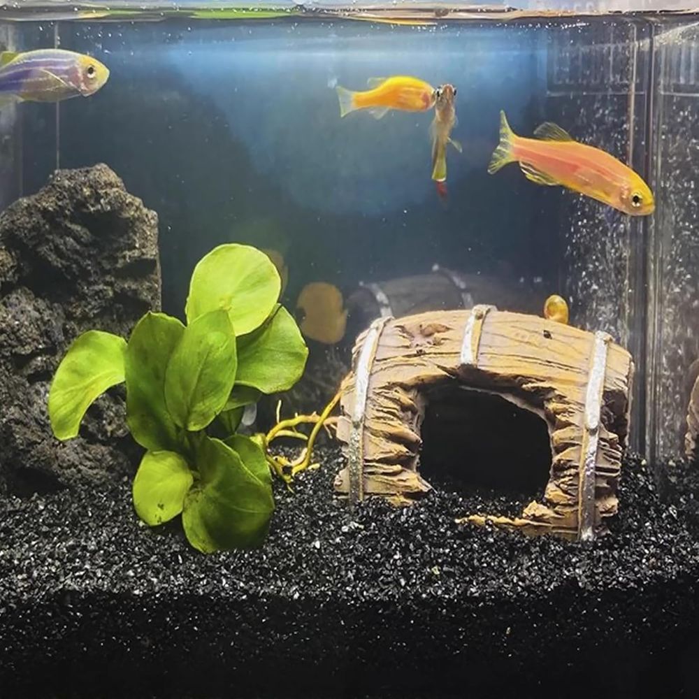ANTIAN 20 lbs Black Silica San - Planted Aquarium With Sand のレビューと価格