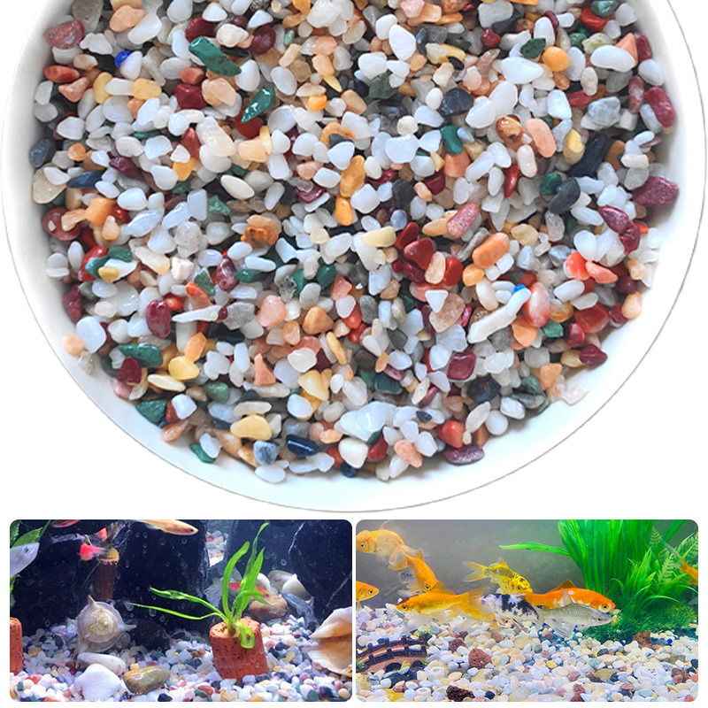 Natural Gravel Stone 200~1000g - Planted Aquarium With Sand のレビューと価格