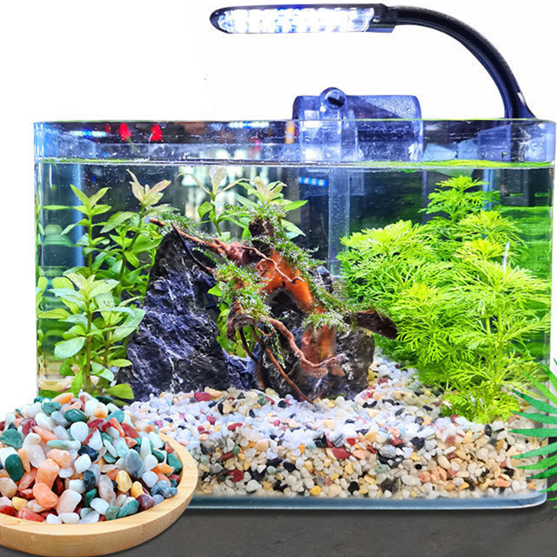Natural Gravel Stone 200~1000g - Planted Aquarium With Sand のレビューと価格