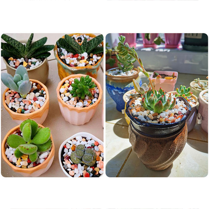 Natural Gravel Stone 200~1000g - Planted Aquarium With Sand のレビューと価格