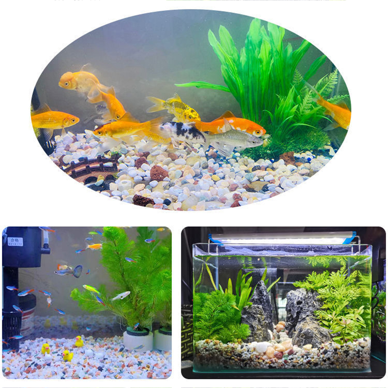 Natural Gravel Stone 200~1000g - Planted Aquarium With Sand のレビューと価格