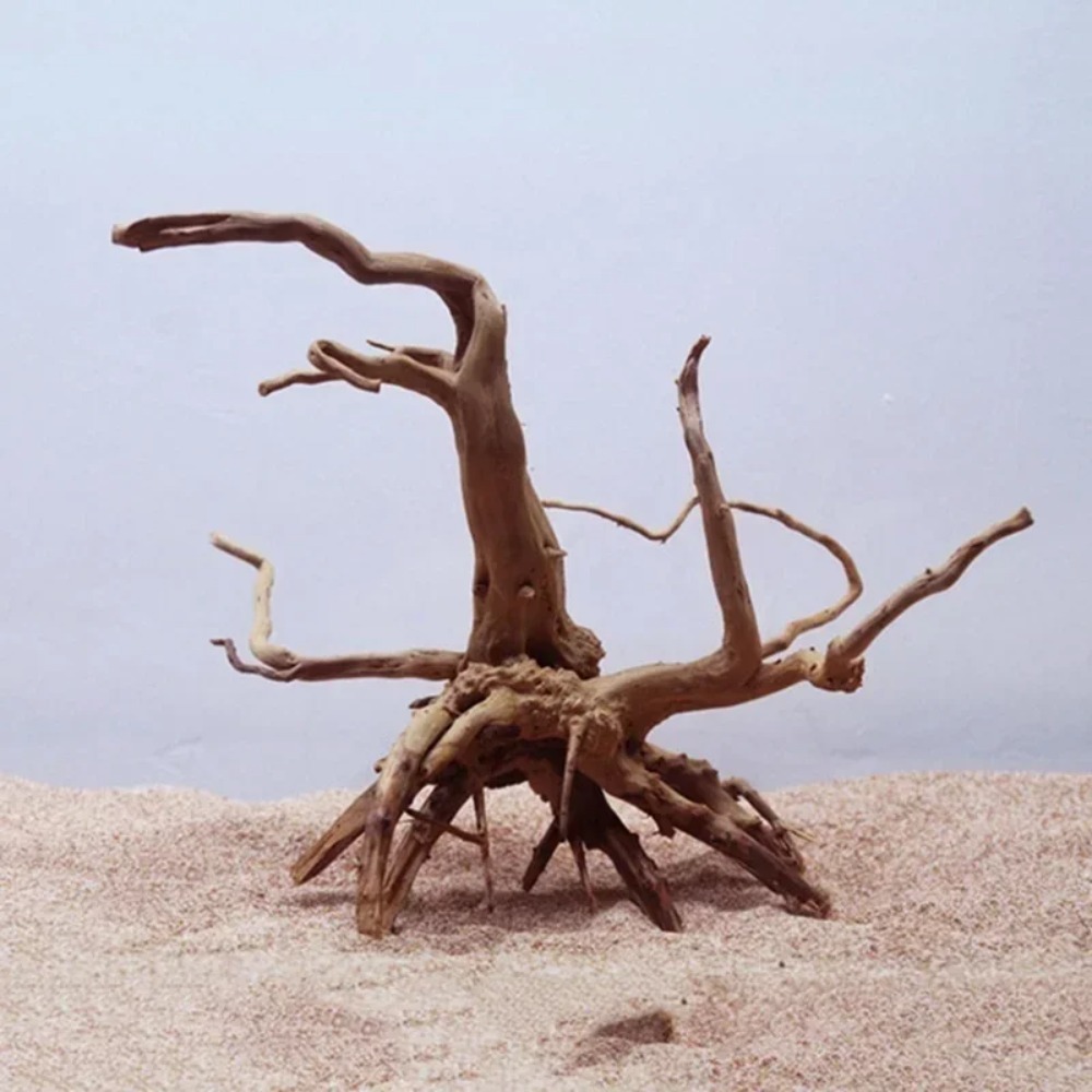 Natural Tree Trunk Driftwood A - Planted Aquarium With Driftwood のレビューと価格