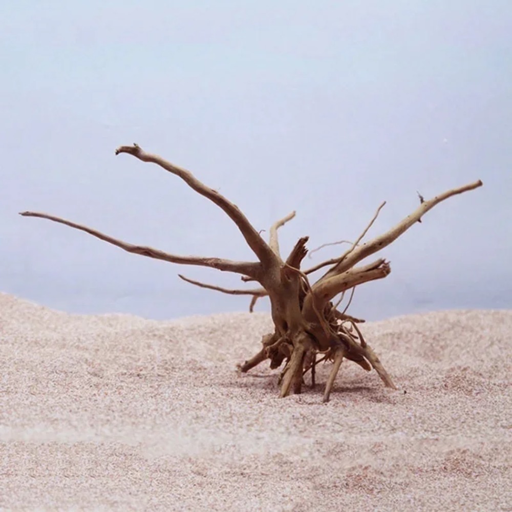 Natural Tree Trunk Driftwood A - Planted Aquarium With Driftwood のレビューと価格
