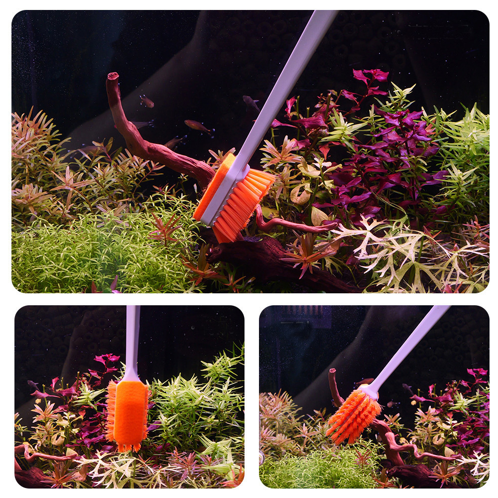 QANVEE Aquarium MK3 Fish Tank  - Planted Aquarium Algae Remover のレビューと価格