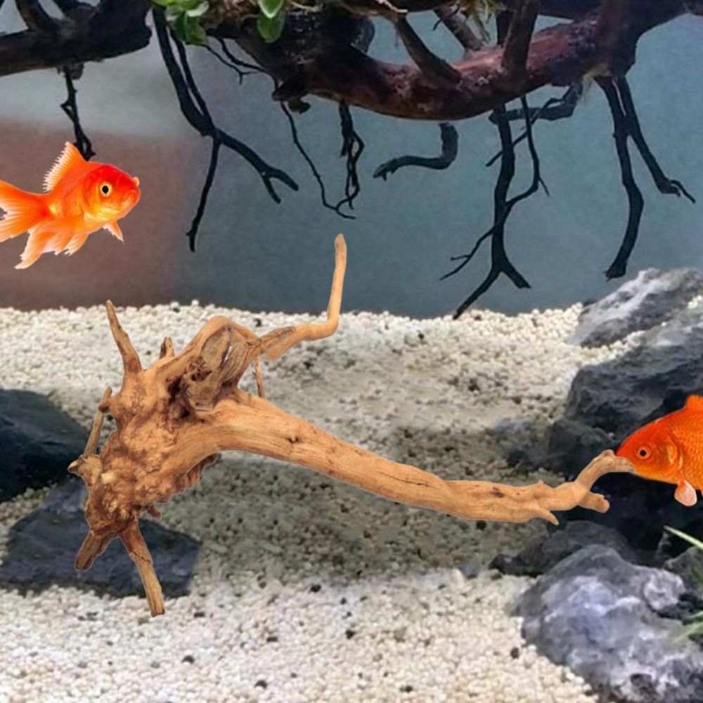 20-25CM Large Aquarium Driftwo - Planted Aquarium With Driftwood のレビューと価格