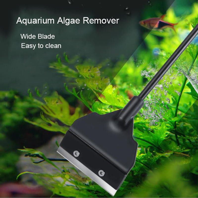 Wide Blade 6cm Light Weight Aq - Planted Aquarium Algae Remover のレビューと価格