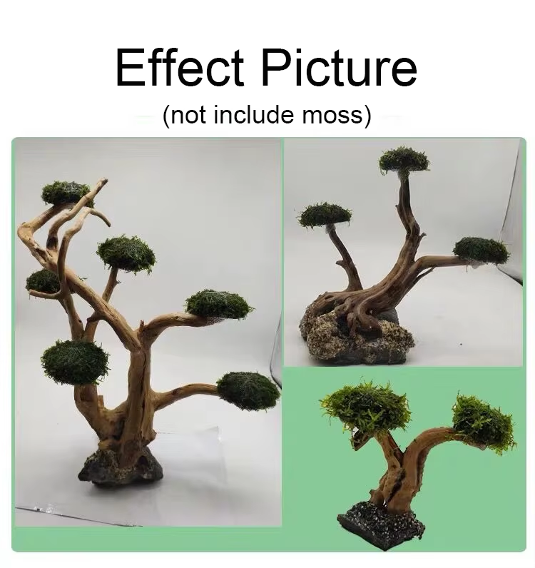 Fish Tank Plant Moss Tree Deco - Planted Aquarium With Driftwood のレビューと価格