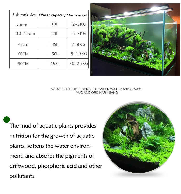 Aquarium Plant Seeds Soil Fish - Planted Aquarium With Sand のレビューと価格