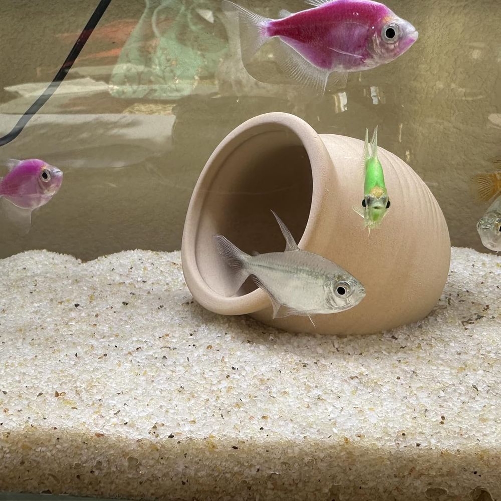 YISZM Aquarium Sand, 20lbs Bei - Planted Aquarium With Sand のレビューと価格