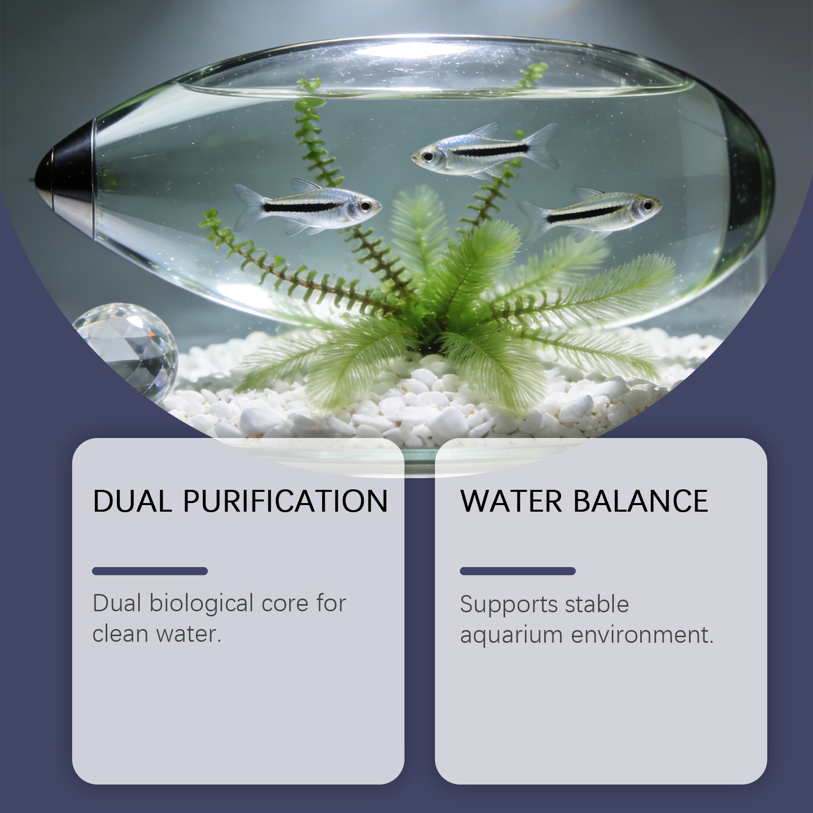 Algae Remover Tablets for Aqua - Planted Aquarium Algae Remover のレビューと価格