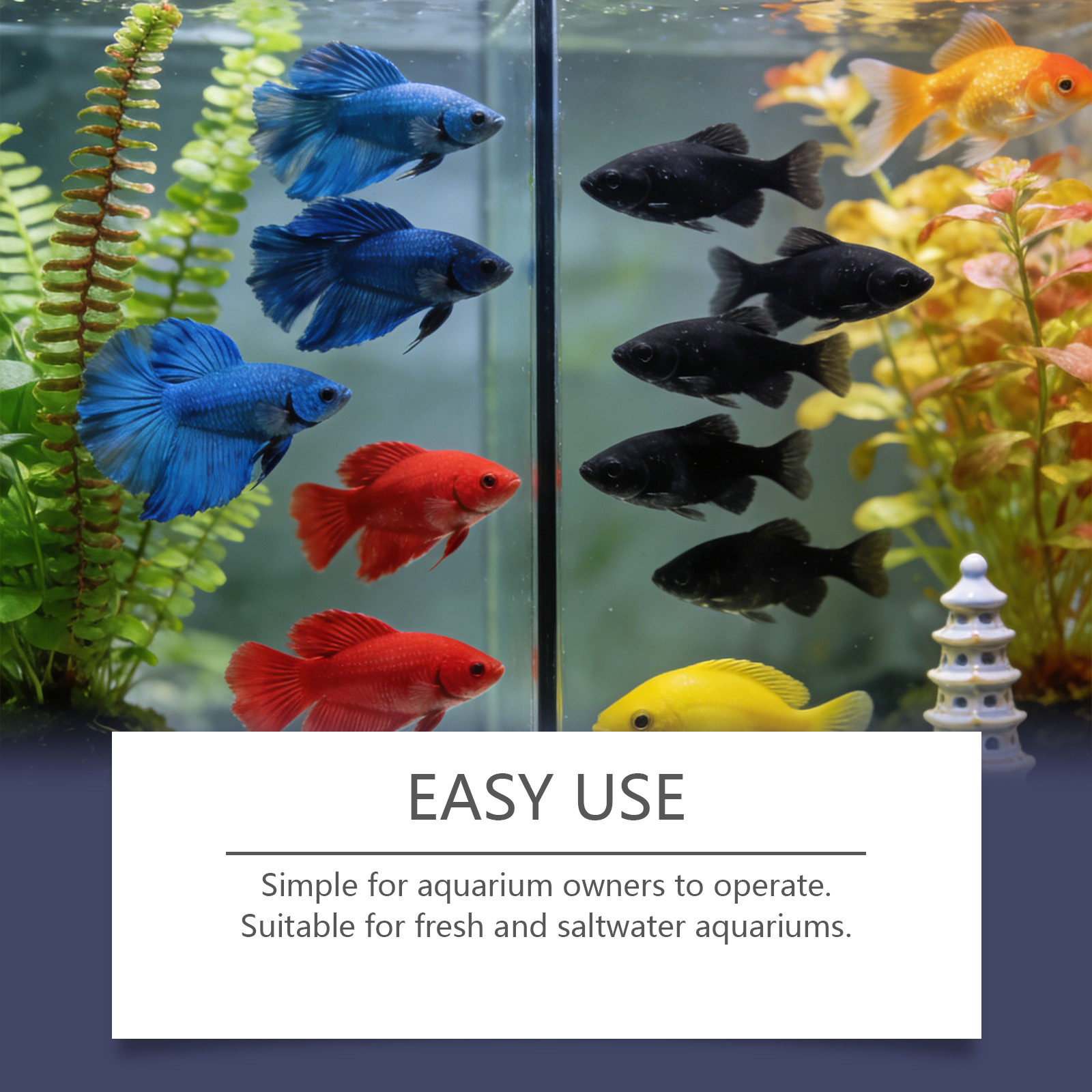 Algae Remover Tablets for Aqua - Planted Aquarium Algae Remover のレビューと価格