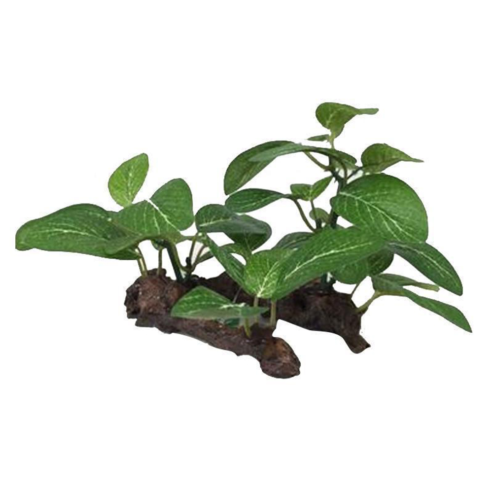 1PC Artificial Driftwood for A - Planted Aquarium With Driftwood のレビューと価格