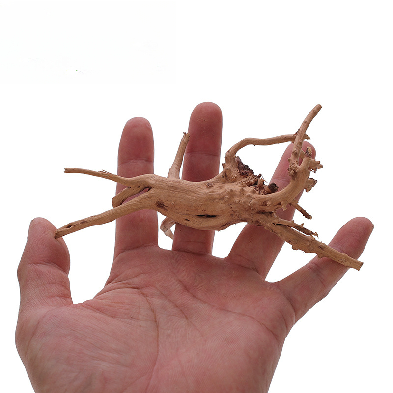 Fish Tank Sunken Wood Decorati - Planted Aquarium With Driftwood のレビューと価格