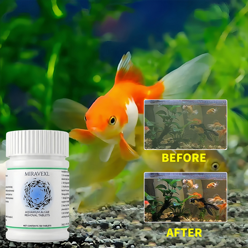 150 Ct Aquarium Algae Removal  - Planted Aquarium Algae Remover のレビューと価格