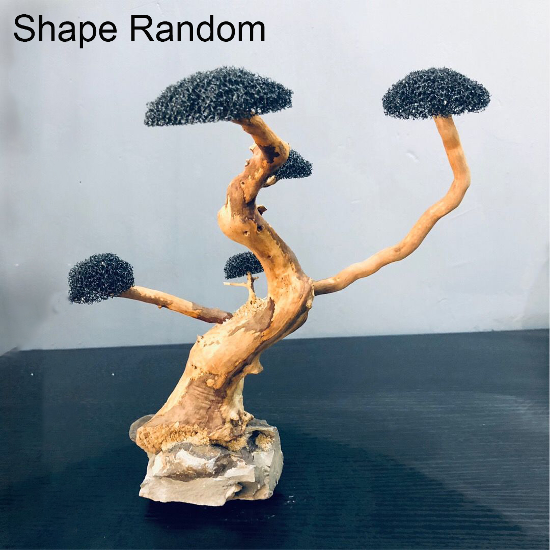 Aquarium Decoration Moss Drift - Planted Aquarium With Driftwood のレビューと価格