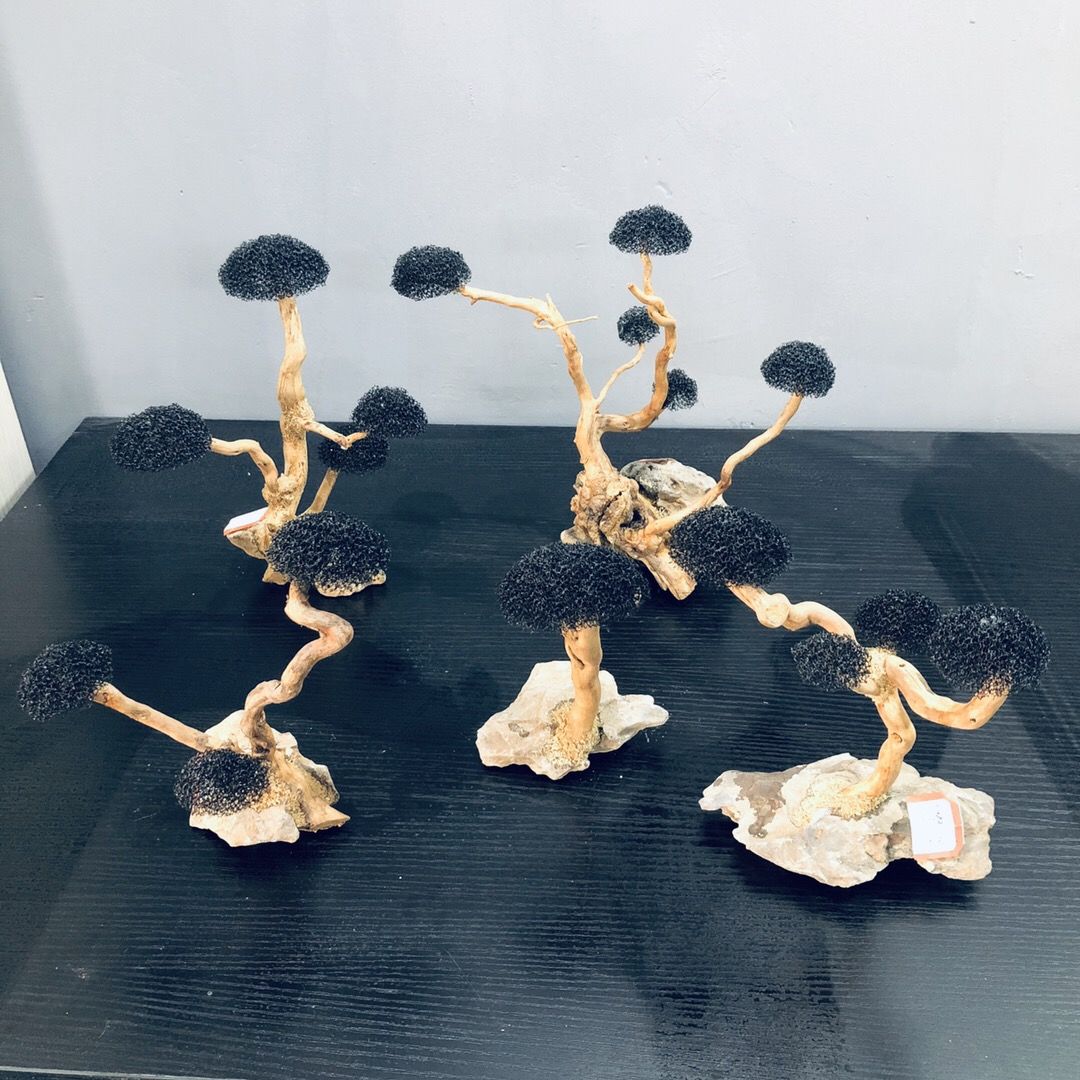 Aquarium Decoration Moss Drift - Planted Aquarium With Driftwood のレビューと価格