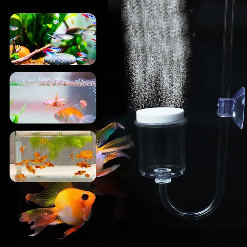 4pcs Set DIY CO2 Diffuser For  - Planted Aquarium Co2 Kit のレビューと価格