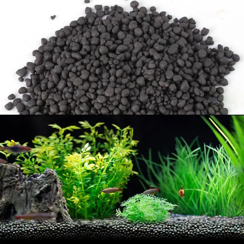 1kg Watergrass Aquarium Plants - Planted Aquarium With Sand のレビューと価格